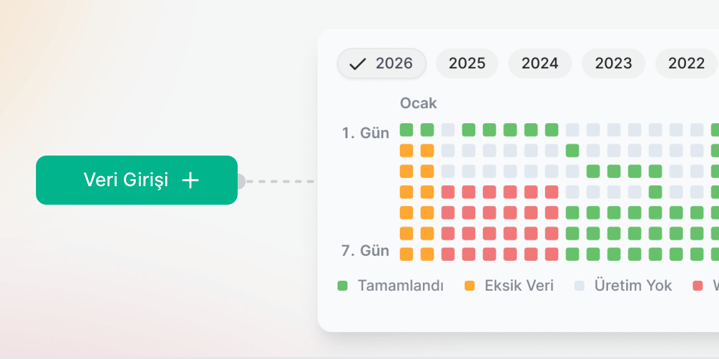 Veri Girişi